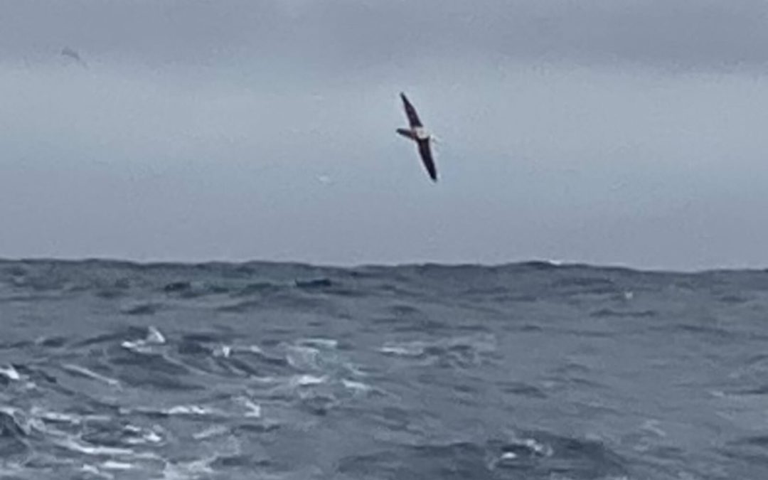 On est vite rattrapé par la réalité du terrain dans les mers du Sud